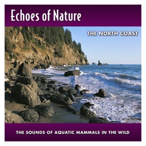 The North Coast