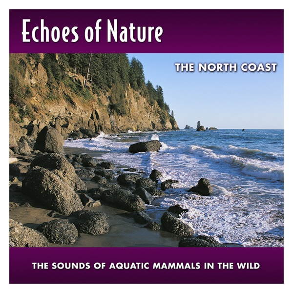 The North Coast
