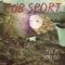 Evie - Cub Sport lyrics