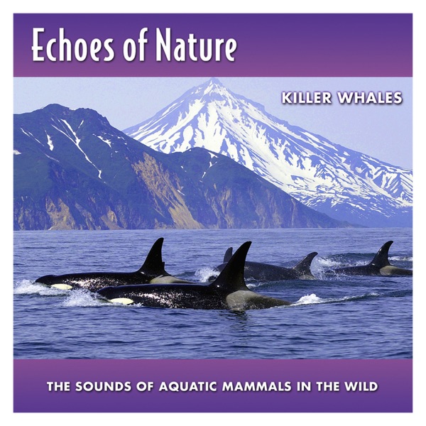 Killer Whales