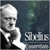 Karelia Suite, Op. 11: III. Alla marcia