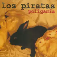 El Mundo De Wayne — Los Piratas