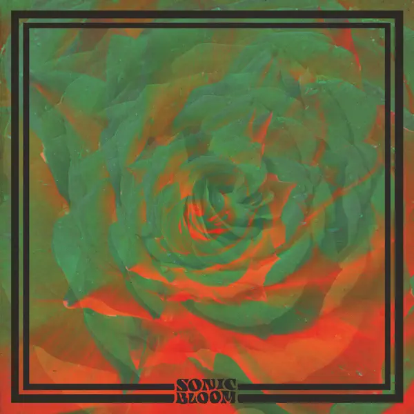 As You Want — Night Beats