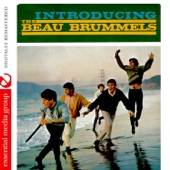 The Beau Brummels - Laugh Laugh
