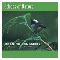 Morning Songbirds - Echoes Of Nature