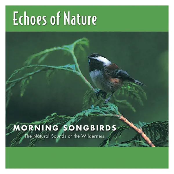 Brookside Birds — Echoes Of Nature