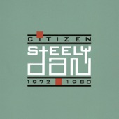 Steely Dan - The Fez