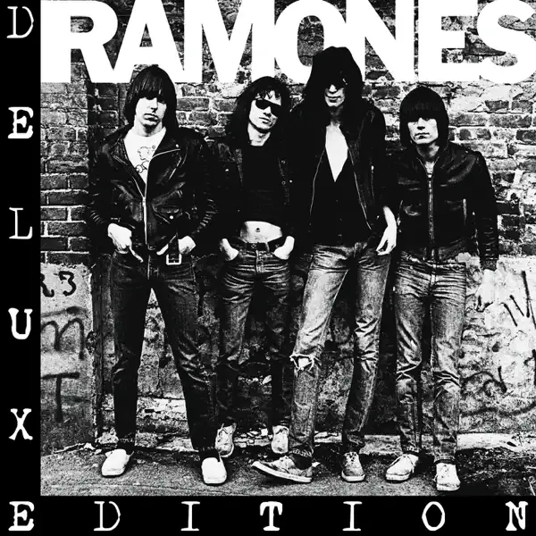 You Should Have Never Opened That Door (Demo Version) — Ramones