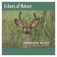 American Wilds - Echoes Of Nature