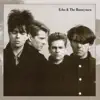 Echo & The Bunnymen - New Direction