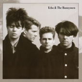 Lips Like Sugar - Echo & The Bunnymen