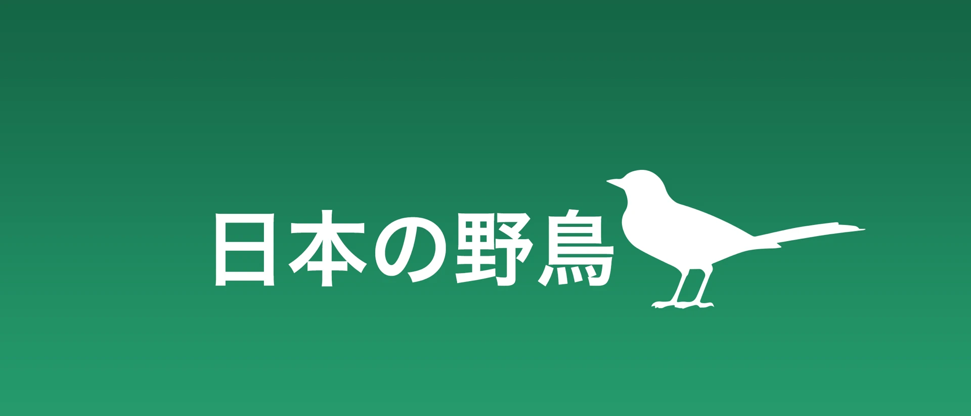 日本の野鳥（山溪ハンディ図鑑） product page header