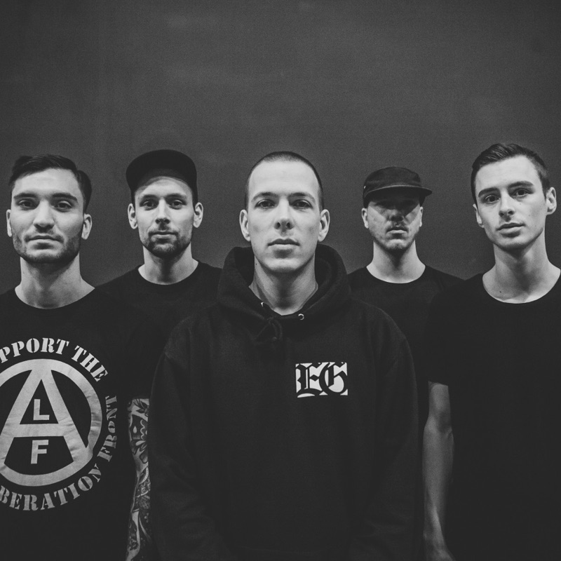 Wolf Down - Stray from the Path