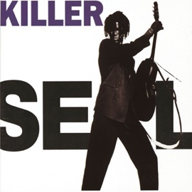 Hey Joe (Live Version) Seal