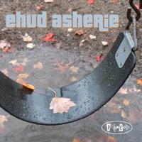 Swing Set - Ehud Asherie