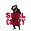 Seal - Crazy (7" Mix)