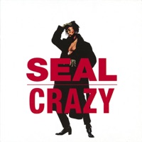Crazy - Seal