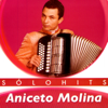 Ancieto Molina Sólo Hits - Ancieto Molina