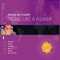 Fading Like a Flower (Radio Edit) [Dancing DJs vs. Roxette] artwork
