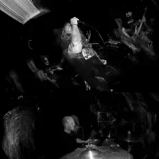Listen to Clinging to the Trees of a Forest Fire, watch music videos, read bio, see tour dates & more!