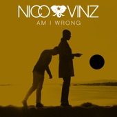 Am I Wrong artwork