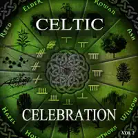 The Crosses of Annagh. The Humors of Tulla. The Cup of Tea — Slàinte