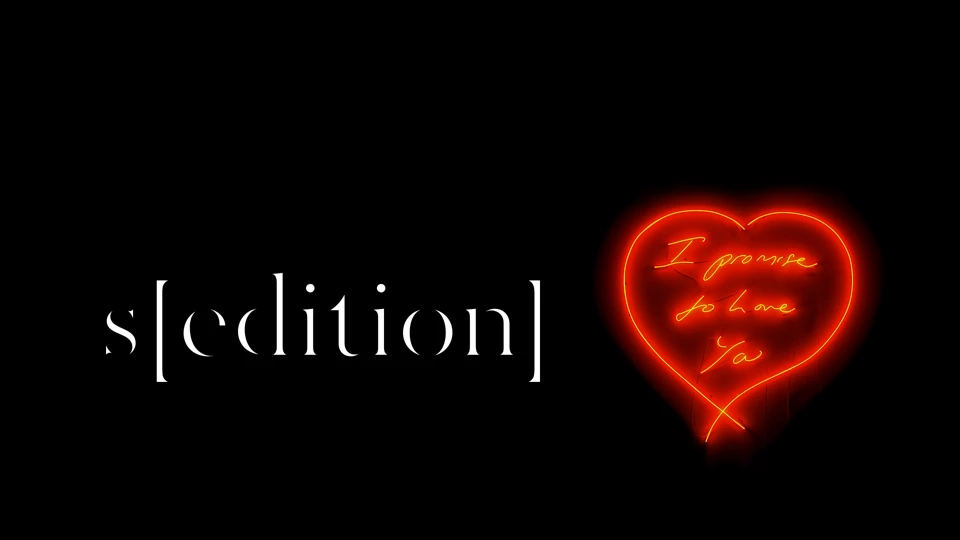 Sedition Art App Store product page header