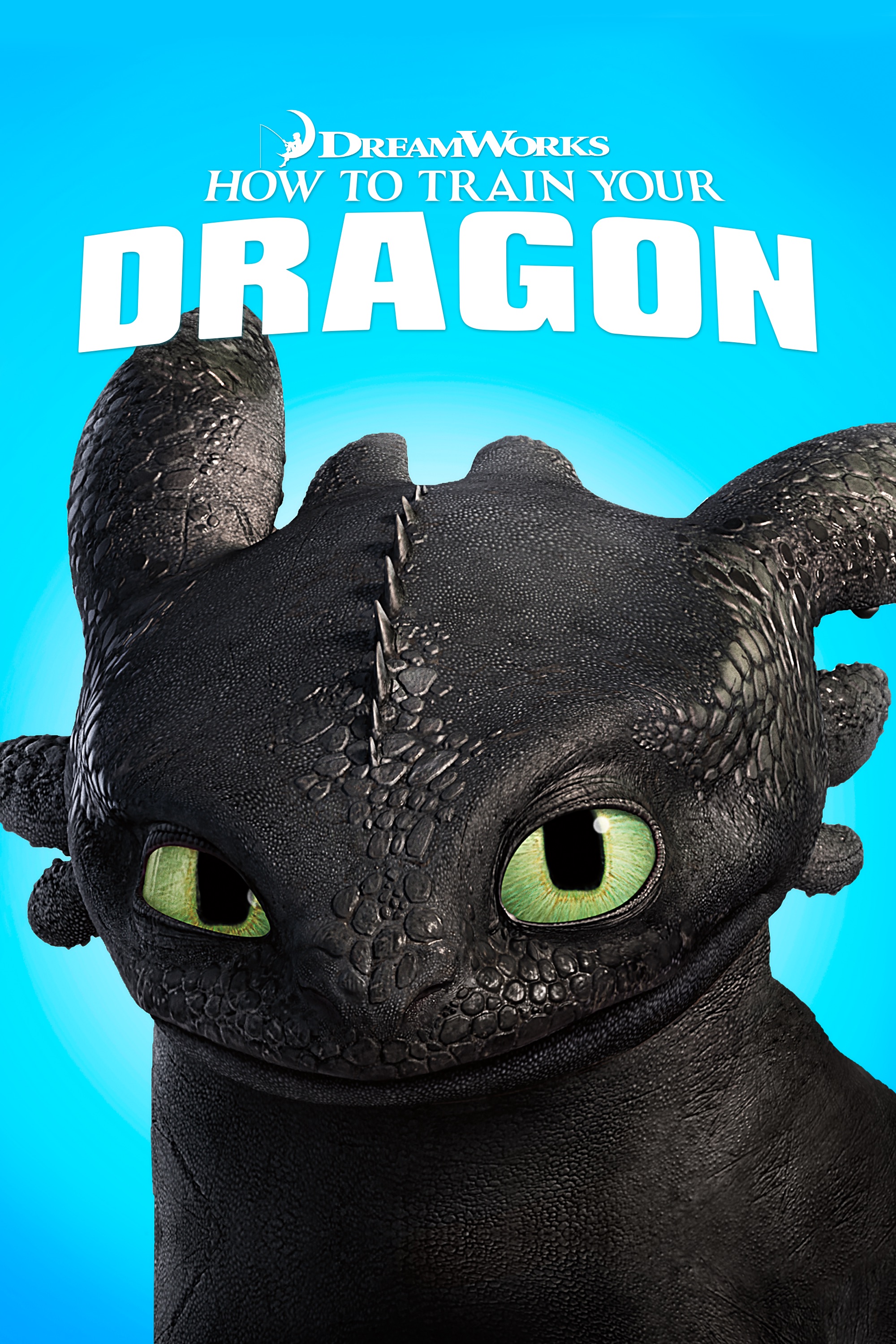 How to Train Your Dragon Poster