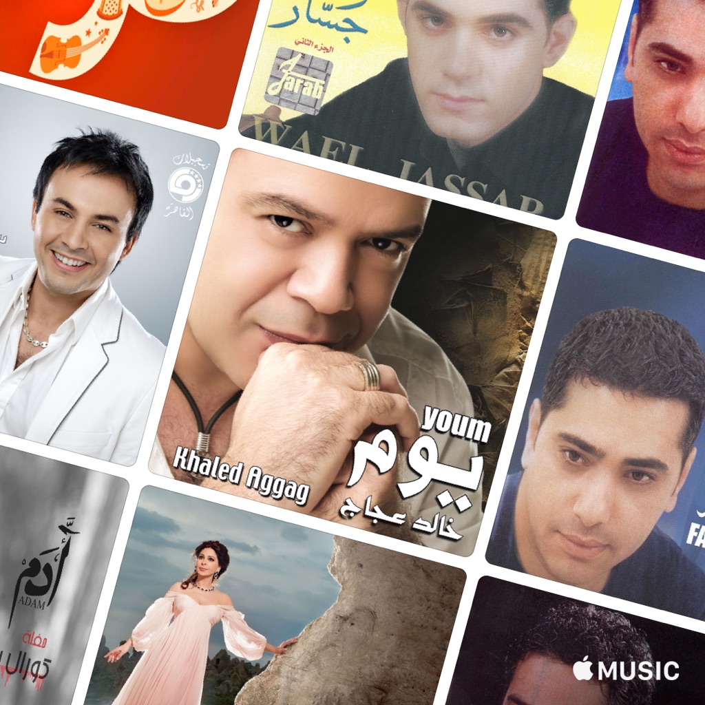 Artists Cover Warda