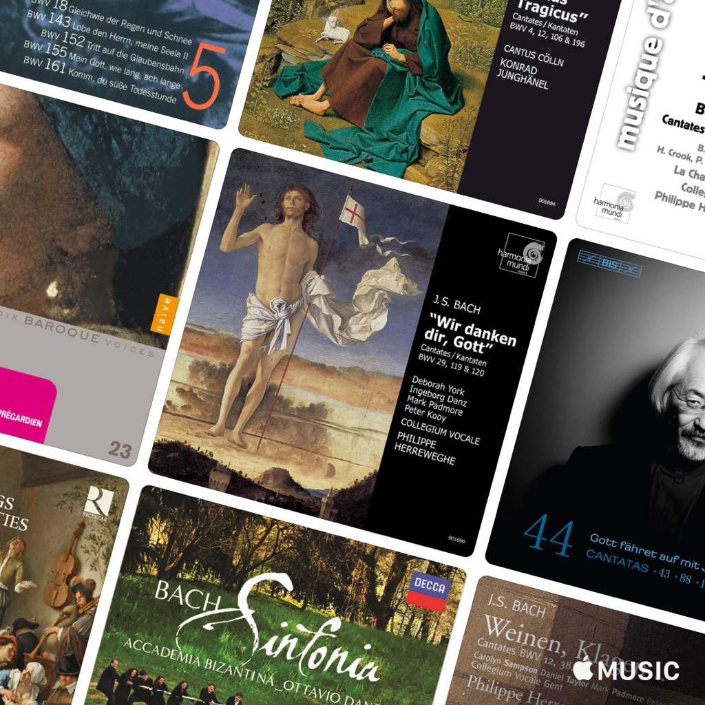 Best of the Sinfonias from Bach Cantatas