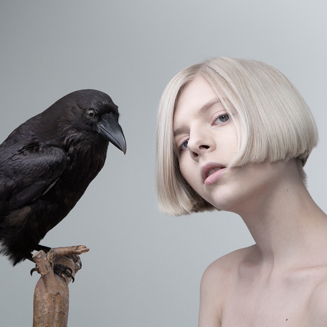 AURORA: Songs I Wish I Wrote