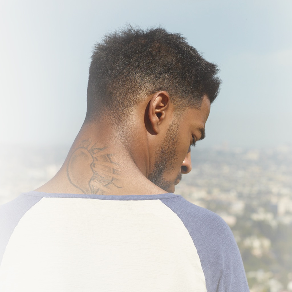 Kid Cudi: приглашенная звезда