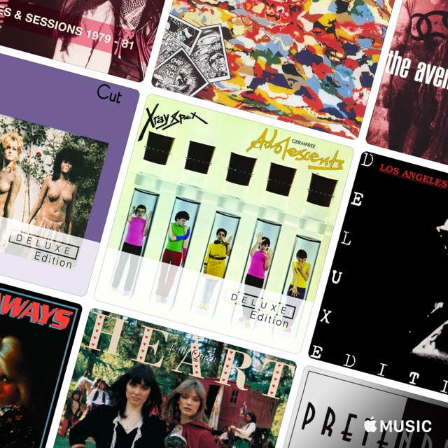 Истоки riot grrrl