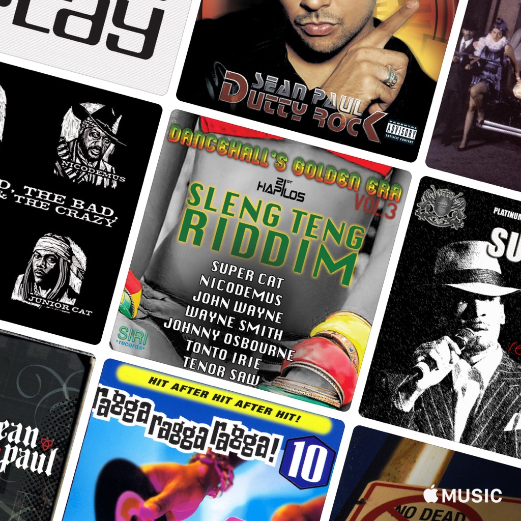 レゲエ・クラッシュ：ショーン・ポール vs Super Cat