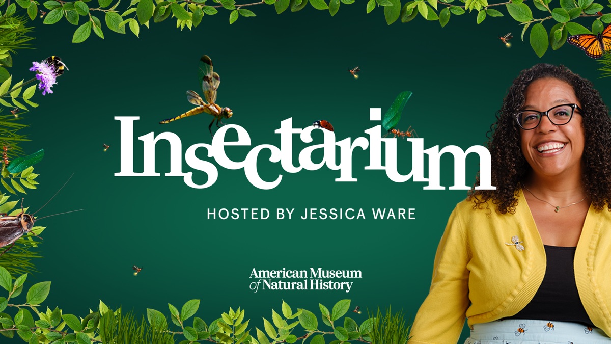 ‎Insectarium - Apple TV