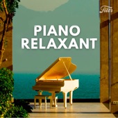 Cover art for Piano Relaxation 🎹 Musique douce et calme