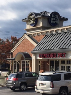 elfbar nachfüll pod läuft aus Paoli Village Shoppes in Paoli, PA United States