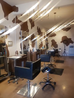 Halo Salons