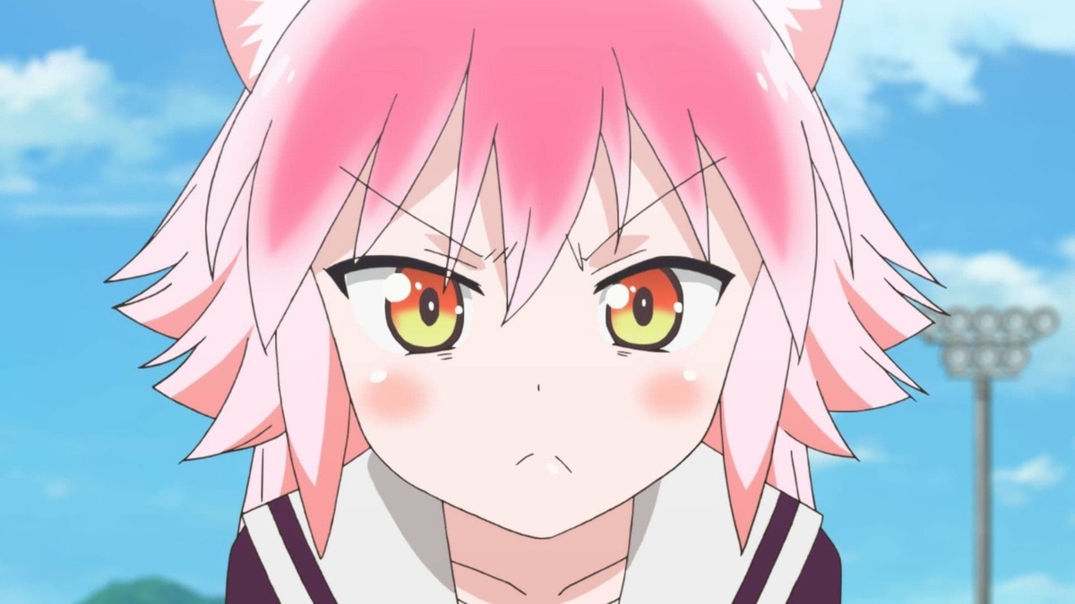 Seton Academy Join the Pack! Apple TV (AU)