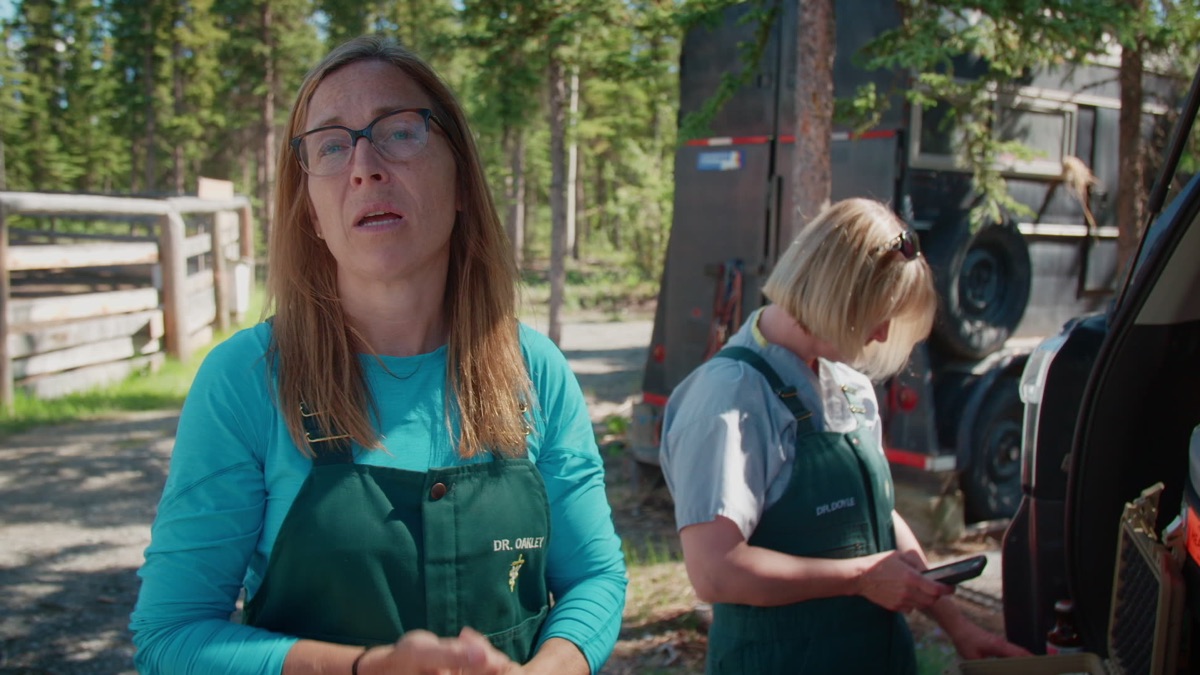 ‎Squawk Off! - Dr. Oakley, Yukon Vet (Series 8, Episode 5) - Apple TV ...