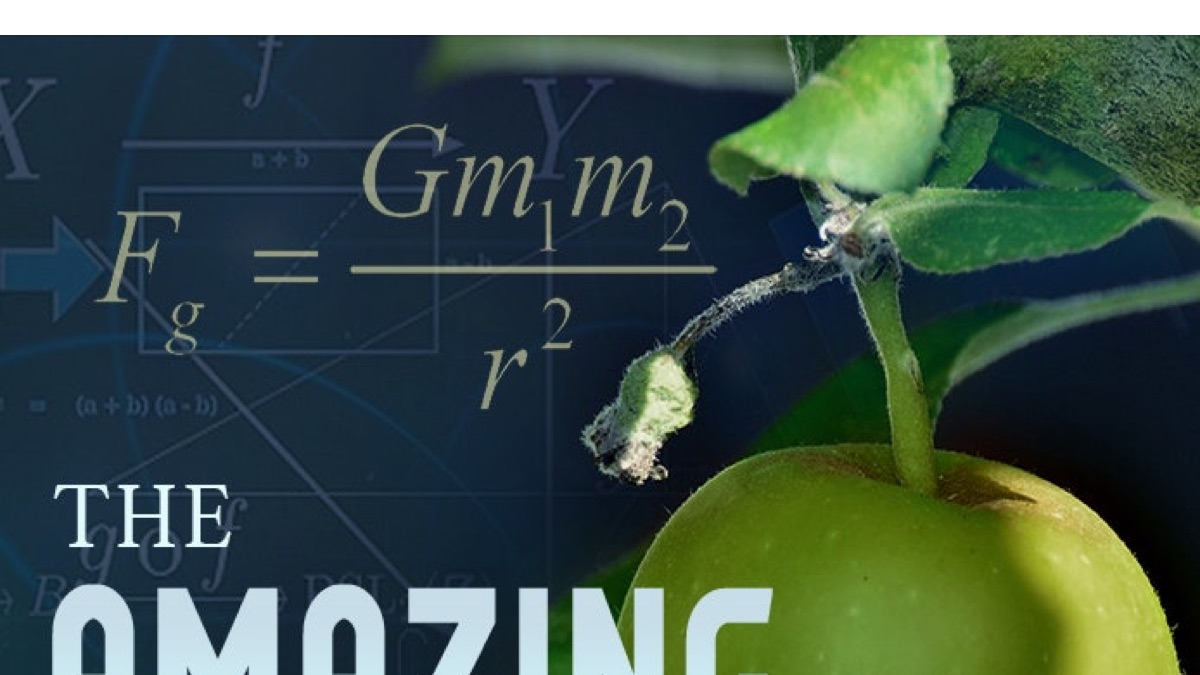 ‎The Amazing World of Gravity - Apple TV