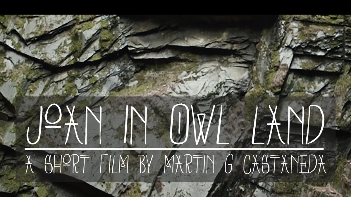 ‎Joan in Owl Land - Apple TV
