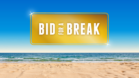 Read more about Bid for a Break is back!
