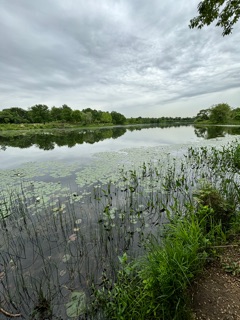 Lake Artemesia Natural Area Photos