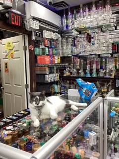 Tobacco Hut in Gaithersburg, MD United States