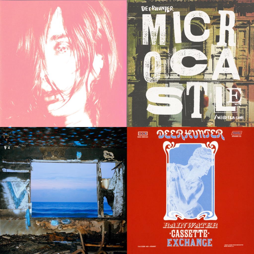 Deerhunter: Next Steps