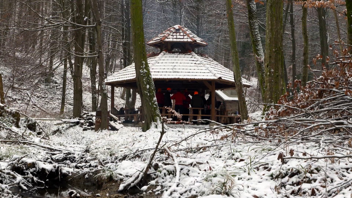 Croatian Keilers Wild Boar Fever (Season 9, Episode 8) Apple TV