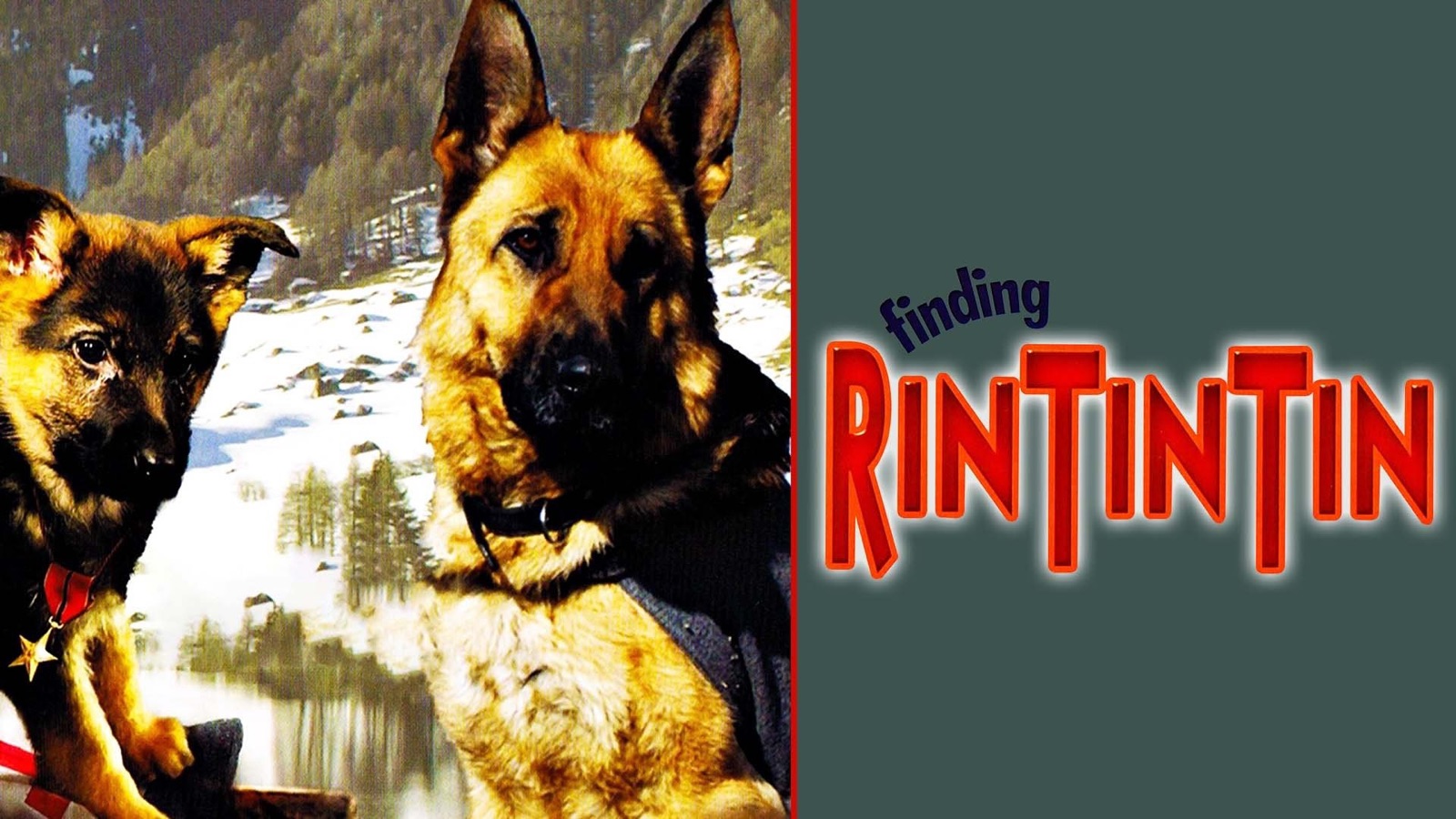 Finding Rin Tin Tin Apple TV