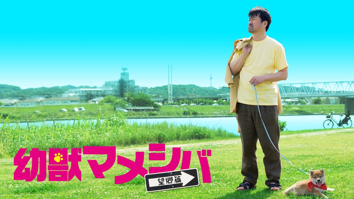‎幼獣マメシバ - Apple TV