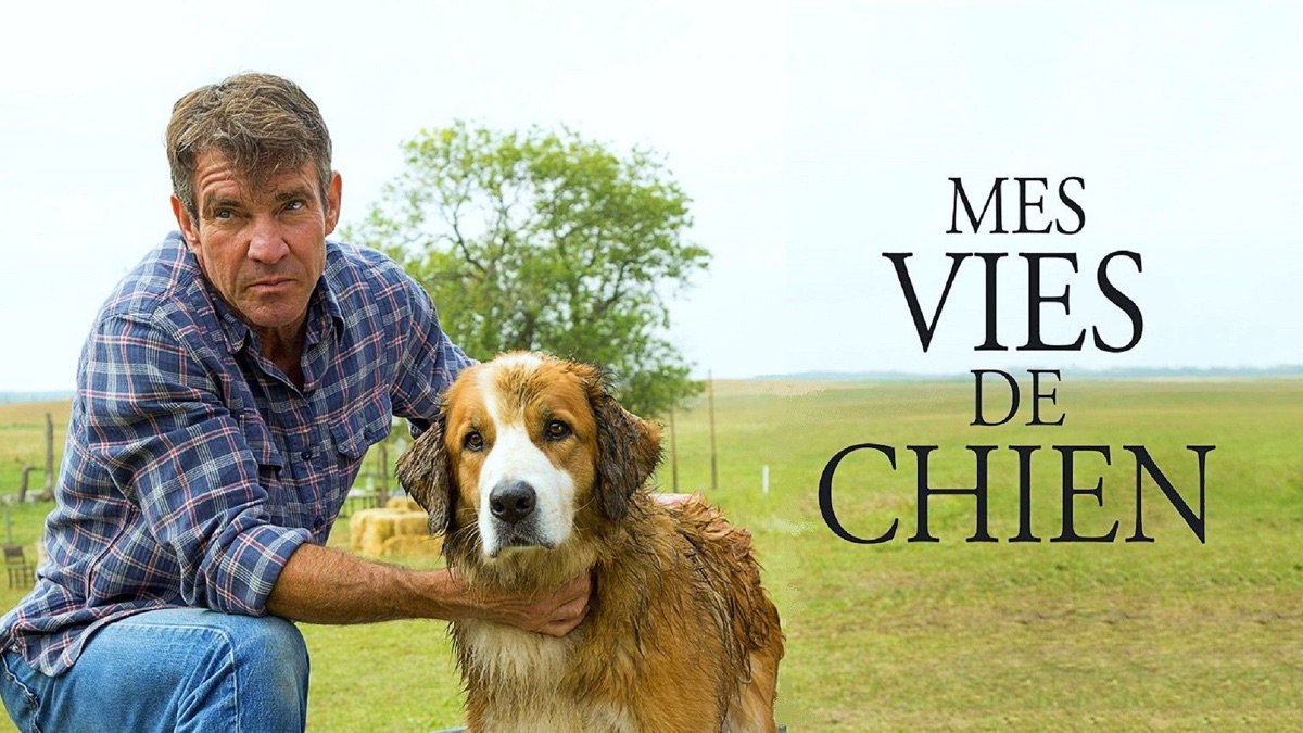 ‎Mes vies de chien - Apple TV